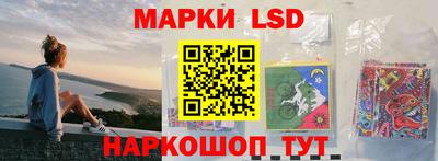 гидропоника Донской