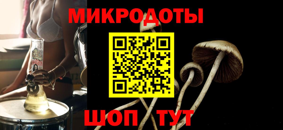 Клинцы  Псилоцибиновые грибы Psilocybine cubensis  Вход с VPN 